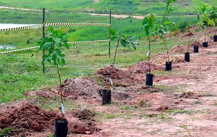 Programa de Recuperação de Áreas Degradadas - PRAD