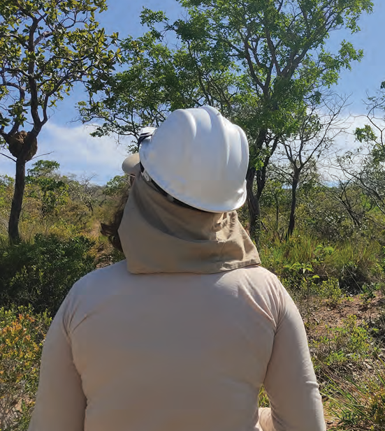 Licenciamento Ambiental