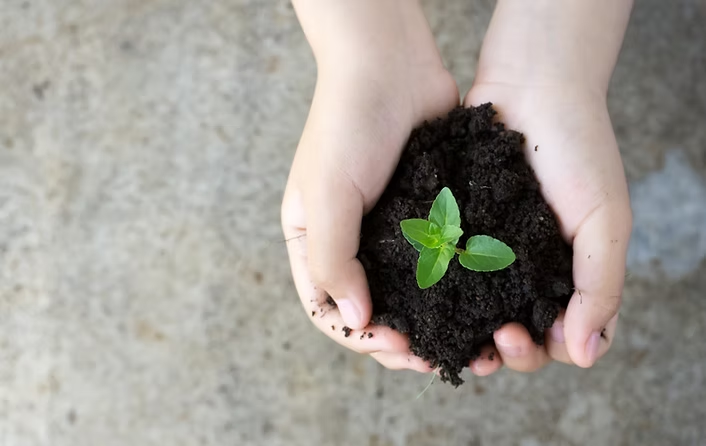 Licenciamento Ambiental