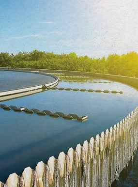 Gestão de Resíduos Sólidos